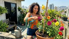 Dália em vaso ou no canteiro: o que muda na luz, no solo e na rega para flores grandes