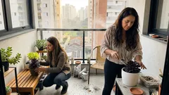 Suculentas quase pretas: 4 queridinhas para ter em casa — e o que mantém a cor escura