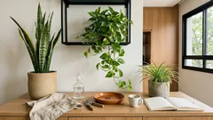 8 plantas fáceis de interior: o que elas mudam no clima da casa (e o que não prometem)