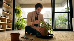 Planta murchou do nada? 5 sinais para entender o que ela está pedindo (antes de tentar qualquer “receita”)