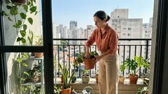 Pare de seguir calendário: como acertar a rega pelo teste do toque e pelos sinais do vaso