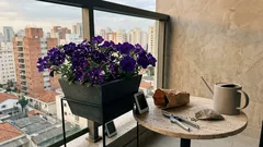 Petúnia ‘Night Sky’: por que o “céu estrelado” muda com o clima — e como incentivar mais pintinhas claras