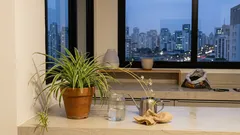 Clorofito (gravatinha): cuidados essenciais para manter verdinho — e a verdade sobre o “ar mais puro”